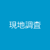 現地調査